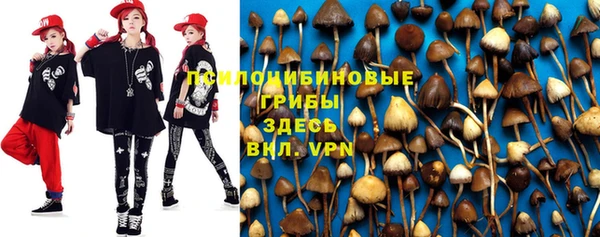spice Абаза